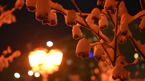 Tree branches covered by snow in winter lighten by outdoor warm lantern Stock-Footage 207212380