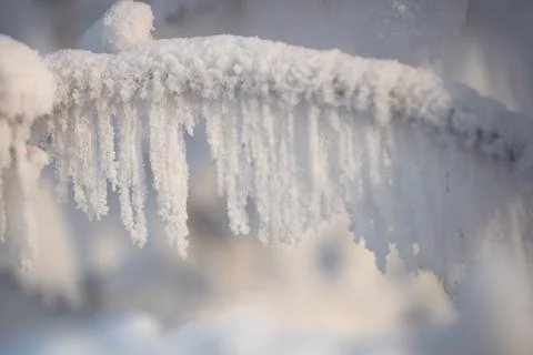 Tree branches covered with a thick layer of frost close-up. Tree branches in Stock Photos
