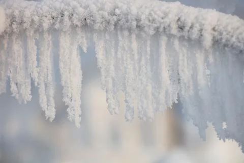 Tree branches covered with a thick layer of frost close-up. Tree branches Stock Photos