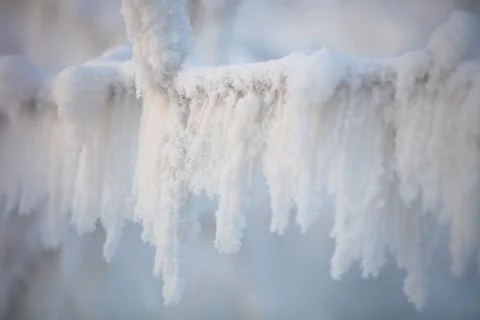 Tree branches covered with a thick layer of frost close-up. Tree branches Foto stock