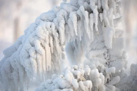 Tree branches covered with a thick layer of frost close-up. Tree branches Stock Photos