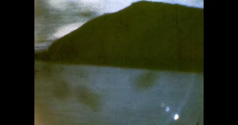 Tree branches flash through the car window Stock Footage 303060873