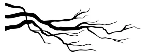 Tree Branches Video stock 92341524