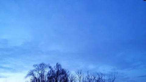 Tree branches in foreground. Stock Footage 74570650