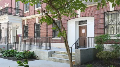 Tree branches frame red brick building and iron windows Stock Footage 323680272