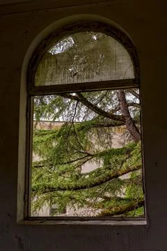 Tree branches framed by broken arched window in ruin Stock Photos