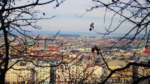 Tree branches framing stadium structure with urban background in Budapest. Stock-Footage 326066331