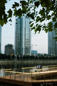Tree branches framing a waterfront, residential towers and riverside promenade Stock Photos
