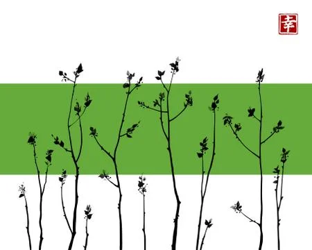 Tree branches with fresh leaves on white and green background. Traditional or Illustrazione stock