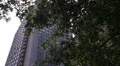Tree Branches In Front Of High Rise Building In Boston Massachusetts HD Footage
