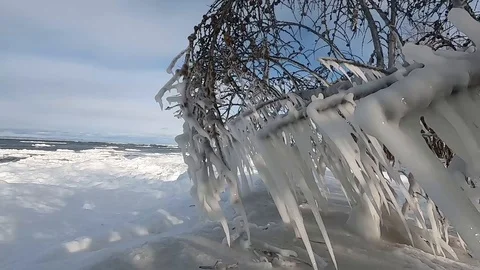 Tree branches frozen in ice. Slow motion. Stock Footage 122804318