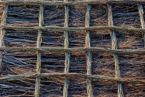 Tree Branches Grating Pattern Abstract Background Stock Photos