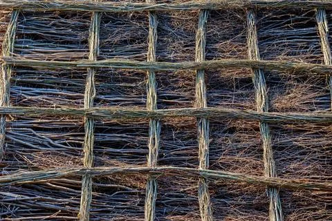 Tree Branches Grating Pattern Abstract Background Abstract pattern backgro... Stock Photos