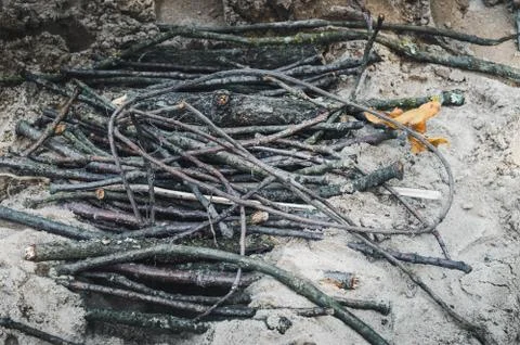 Tree branches on the ground for a bonfire Stock Photos