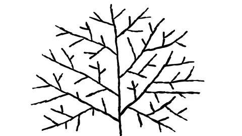 Tree Branches Growing Animation on Green Screen Stock Footage 310566665