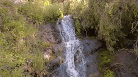 Tree branches hang over a mountain waterfall Stock Footage 318687289