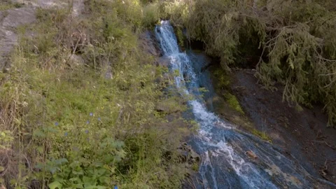 Tree branches hang over a mountain waterfall Stock Footage 318741909
