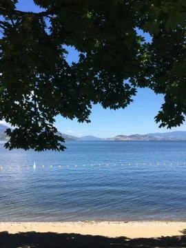 Tree branches hanging over sandy beach at lake Stock Photos