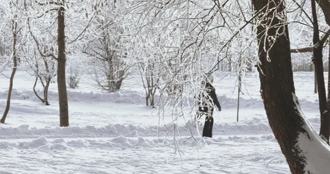 Tree branches in hoarfrost Stock Footage 101341184