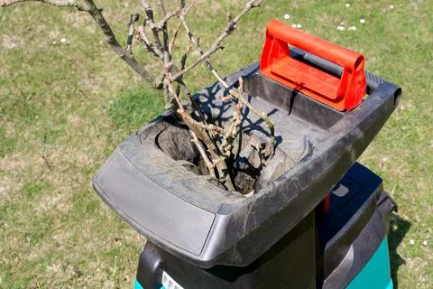 Tree branches inserted into electric garden shredder with weathered lawn in the Stock Photos