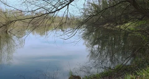 Tree branches by the lakeshore and the sky reflecting on the surface of the lake Vídeo Stock 236647662