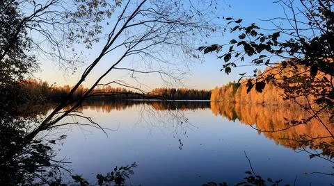 Tree branches with leaves on the background of a mirror lake and blue sky Foto stock