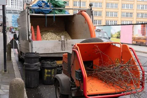 Tree Branches Loaded Into Chipper On City Road Foto stock