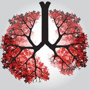 Tree Branches Like Lungs - Vector Illustration Stock Illustration