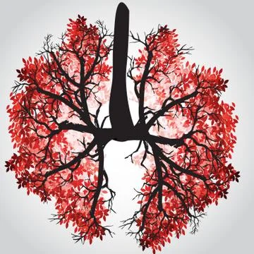 Tree Branches Like Lungs - Vector Illustration Stock Illustration