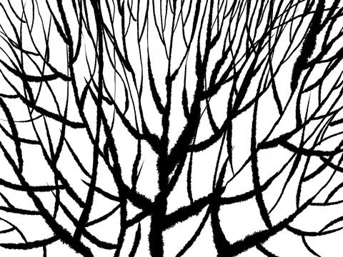 Tree branches mesh net ink texture background. Vintage black and white Stock Illustration