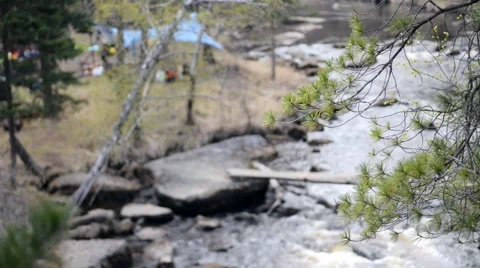 Tree branches. on a mountain river and rolling over the bridge person Stock Footage 57457422