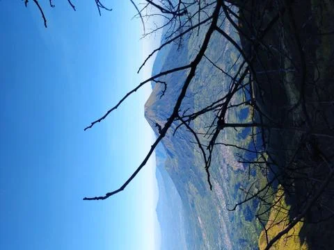 Tree branches with mountain scenery in the background. Stock Photos