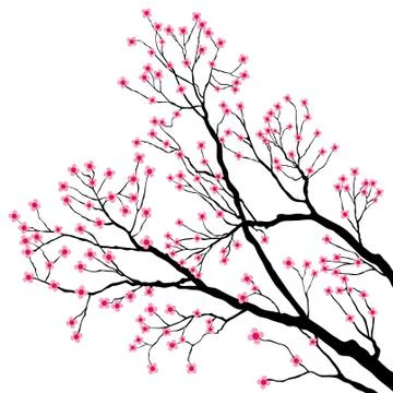 Tree branches with pink flowers Illustration