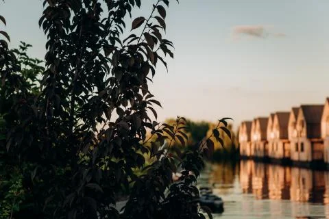 Tree branches private zone eco tourism outside Stock Photos