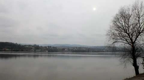 Tree branches. River in Background. Stock Footage 38285062