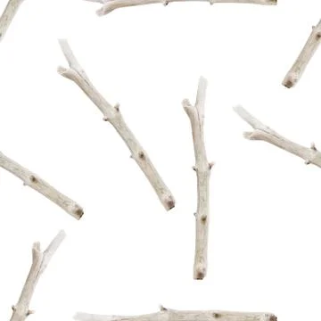 Tree branches seamless pattern. Boho image of sticks on white background Stock Photos