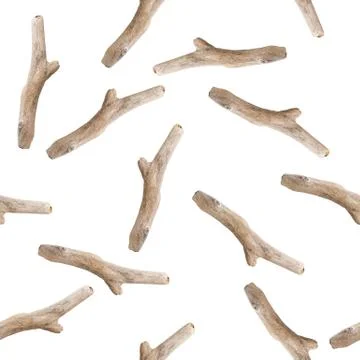 Tree branches seamless pattern. Boho image of sticks on white background Stock Photos