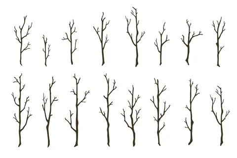 Tree branches set. Hand drawn bare wood sticks vector illustration. Thin forest Stock Illustration