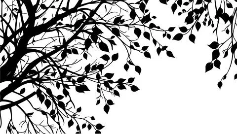 Tree branches silhouette isolated on white background. Vector illustration .. Stock Illustration