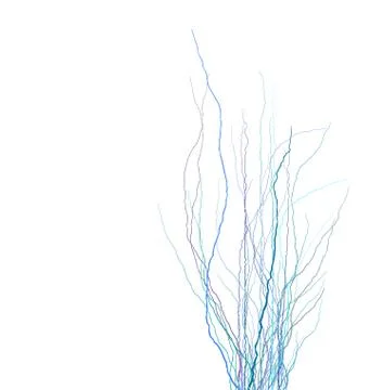 Tree branches silhouette in multiple blue purple over white Illustrazione stock