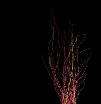 Tree branches silhouette in multiple color over black Stock Illustration