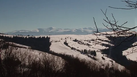For tree branches snow-capped mountains Stock Footage 70363646