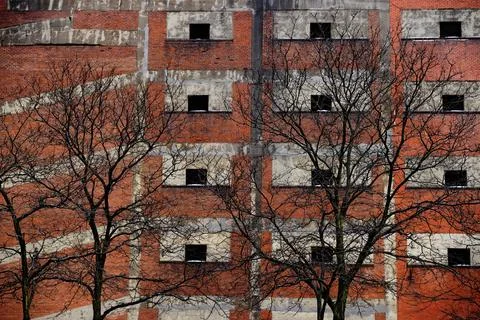 Tree branches spread out in front of a brick parking garage. Stock-Fotos