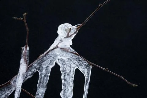 Tree branches trapped in ice, creative, Province of Quebec, Canada Stock Photos
