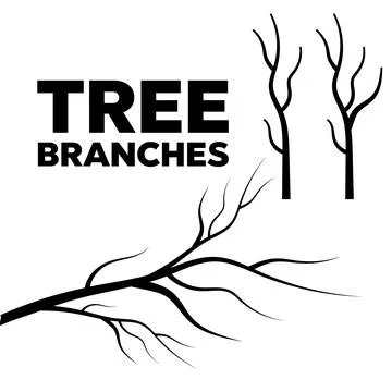 Tree branches. Vector tree branches silhouette. Leaves, swirls and floral ele Stock Illustration