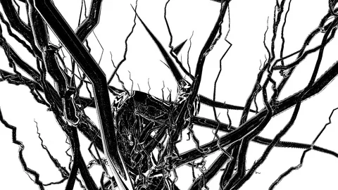 Tree branches VJ loop Stock Footage 101431540