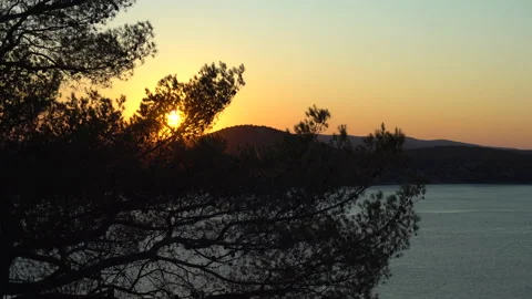 Tree branches waving in the wind on sunset in Sibenik, Croatia - 4K, Medium shot Stock Footage 172552240