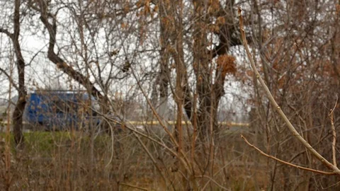 Tree branches without foliage against a background of car traffic. Video stock 120031193