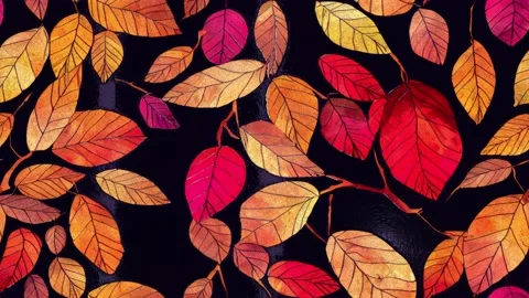 Tree Branches Without Leaves Stock Footage 215445716