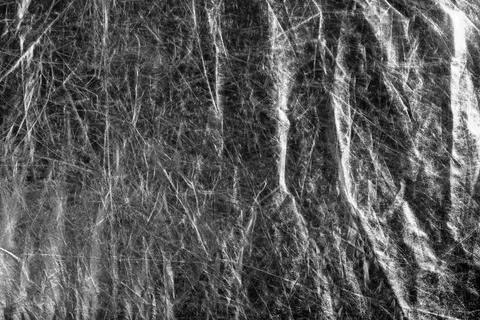 Tree branches without leaves forming intricate pattern against dark backgroun 스톡 사진